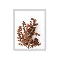 Picture of Brown Fall  _GroupedProduct_Rectangle_Portrait_Photography _GroupedProduct_Rectangle_Portrait_Framed_Matted_