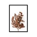 Picture of Brown Fall  _GroupedProduct_Rectangle_Portrait_Photography _GroupedProduct_Rectangle_Portrait_Framed_Matted_