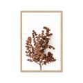 Picture of Brown Fall  _GroupedProduct_Rectangle_Portrait_Photography _GroupedProduct_Rectangle_Portrait_Framed_Matted_
