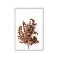 Picture of Brown Fall  _GroupedProduct_Rectangle_Portrait_Photography _GroupedProduct_Rectangle_Portrait_Framed_Matted_