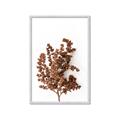 Picture of Brown Fall  _GroupedProduct_Rectangle_Portrait_Photography _GroupedProduct_Rectangle_Portrait_Framed_Matted_