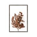 Picture of Brown Fall  _GroupedProduct_Rectangle_Portrait_Photography _GroupedProduct_Rectangle_Portrait_Framed_Matted_