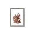 Picture of Brown Fall  _GroupedProduct_Rectangle_Portrait_Photography _GroupedProduct_Rectangle_Portrait_Framed_Matted_