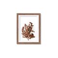 Picture of Brown Fall  _GroupedProduct_Rectangle_Portrait_Photography _GroupedProduct_Rectangle_Portrait_Framed_Matted_