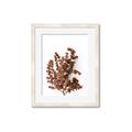 Picture of Brown Fall  _GroupedProduct_Rectangle_Portrait_Photography _GroupedProduct_Rectangle_Portrait_Framed_Matted_