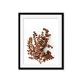 Picture of Brown Fall  _GroupedProduct_Rectangle_Portrait_Photography _GroupedProduct_Rectangle_Portrait_Framed_Matted_