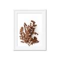 Picture of Brown Fall  _GroupedProduct_Rectangle_Portrait_Photography _GroupedProduct_Rectangle_Portrait_Framed_Matted_
