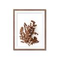 Picture of Brown Fall  _GroupedProduct_Rectangle_Portrait_Photography _GroupedProduct_Rectangle_Portrait_Framed_Matted_