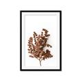 Picture of Brown Fall  _GroupedProduct_Rectangle_Portrait_Photography _GroupedProduct_Rectangle_Portrait_Framed_Matted_