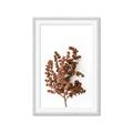 Picture of Brown Fall  _GroupedProduct_Rectangle_Portrait_Photography _GroupedProduct_Rectangle_Portrait_Framed_Matted_