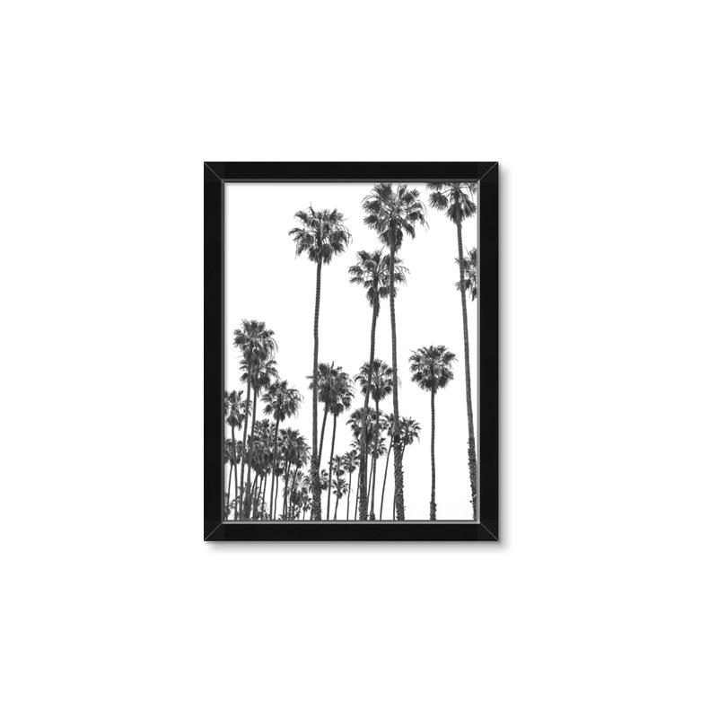 Picture of California Palms _GroupedProduct_Rectangle_Portrait_Photography _GroupedProduct_Rectangle_Portrait_Framed_Matted_