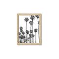 Picture of California Palms _GroupedProduct_Rectangle_Portrait_Photography _GroupedProduct_Rectangle_Portrait_Framed_Matted_