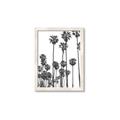 Picture of California Palms _GroupedProduct_Rectangle_Portrait_Photography _GroupedProduct_Rectangle_Portrait_Framed_Matted_