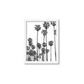 Picture of California Palms _GroupedProduct_Rectangle_Portrait_Photography _GroupedProduct_Rectangle_Portrait_Framed_Matted_
