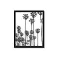 Picture of California Palms _GroupedProduct_Rectangle_Portrait_Photography _GroupedProduct_Rectangle_Portrait_Framed_Matted_
