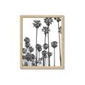 Picture of California Palms _GroupedProduct_Rectangle_Portrait_Photography _GroupedProduct_Rectangle_Portrait_Framed_Matted_