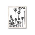 Picture of California Palms _GroupedProduct_Rectangle_Portrait_Photography _GroupedProduct_Rectangle_Portrait_Framed_Matted_
