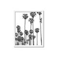Picture of California Palms _GroupedProduct_Rectangle_Portrait_Photography _GroupedProduct_Rectangle_Portrait_Framed_Matted_