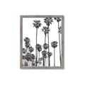 Picture of California Palms _GroupedProduct_Rectangle_Portrait_Photography _GroupedProduct_Rectangle_Portrait_Framed_Matted_