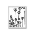 Picture of California Palms _GroupedProduct_Rectangle_Portrait_Photography _GroupedProduct_Rectangle_Portrait_Framed_Matted_