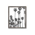 Picture of California Palms _GroupedProduct_Rectangle_Portrait_Photography _GroupedProduct_Rectangle_Portrait_Framed_Matted_