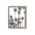 Picture of California Palms _GroupedProduct_Rectangle_Portrait_Photography _GroupedProduct_Rectangle_Portrait_Framed_Matted_