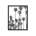 Picture of California Palms _GroupedProduct_Rectangle_Portrait_Photography _GroupedProduct_Rectangle_Portrait_Framed_Matted_