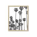 Picture of California Palms _GroupedProduct_Rectangle_Portrait_Photography _GroupedProduct_Rectangle_Portrait_Framed_Matted_