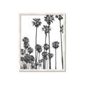 Picture of California Palms _GroupedProduct_Rectangle_Portrait_Photography _GroupedProduct_Rectangle_Portrait_Framed_Matted_