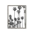 Picture of California Palms _GroupedProduct_Rectangle_Portrait_Photography _GroupedProduct_Rectangle_Portrait_Framed_Matted_