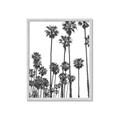 Picture of California Palms _GroupedProduct_Rectangle_Portrait_Photography _GroupedProduct_Rectangle_Portrait_Framed_Matted_
