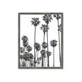 Picture of California Palms _GroupedProduct_Rectangle_Portrait_Photography _GroupedProduct_Rectangle_Portrait_Framed_Matted_