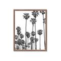 Picture of California Palms _GroupedProduct_Rectangle_Portrait_Photography _GroupedProduct_Rectangle_Portrait_Framed_Matted_
