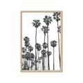 Picture of California Palms _GroupedProduct_Rectangle_Portrait_Photography _GroupedProduct_Rectangle_Portrait_Framed_Matted_