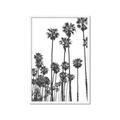 Picture of California Palms _GroupedProduct_Rectangle_Portrait_Photography _GroupedProduct_Rectangle_Portrait_Framed_Matted_