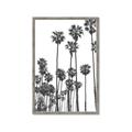 Picture of California Palms _GroupedProduct_Rectangle_Portrait_Photography _GroupedProduct_Rectangle_Portrait_Framed_Matted_