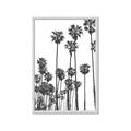 Picture of California Palms _GroupedProduct_Rectangle_Portrait_Photography _GroupedProduct_Rectangle_Portrait_Framed_Matted_