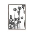Picture of California Palms _GroupedProduct_Rectangle_Portrait_Photography _GroupedProduct_Rectangle_Portrait_Framed_Matted_