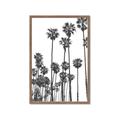 Picture of California Palms _GroupedProduct_Rectangle_Portrait_Photography _GroupedProduct_Rectangle_Portrait_Framed_Matted_