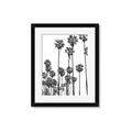 Picture of California Palms _GroupedProduct_Rectangle_Portrait_Photography _GroupedProduct_Rectangle_Portrait_Framed_Matted_