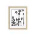 Picture of California Palms _GroupedProduct_Rectangle_Portrait_Photography _GroupedProduct_Rectangle_Portrait_Framed_Matted_