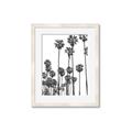 Picture of California Palms _GroupedProduct_Rectangle_Portrait_Photography _GroupedProduct_Rectangle_Portrait_Framed_Matted_