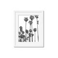 Picture of California Palms _GroupedProduct_Rectangle_Portrait_Photography _GroupedProduct_Rectangle_Portrait_Framed_Matted_
