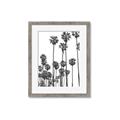 Picture of California Palms _GroupedProduct_Rectangle_Portrait_Photography _GroupedProduct_Rectangle_Portrait_Framed_Matted_