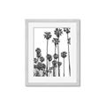 Picture of California Palms _GroupedProduct_Rectangle_Portrait_Photography _GroupedProduct_Rectangle_Portrait_Framed_Matted_