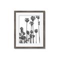 Picture of California Palms _GroupedProduct_Rectangle_Portrait_Photography _GroupedProduct_Rectangle_Portrait_Framed_Matted_