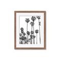 Picture of California Palms _GroupedProduct_Rectangle_Portrait_Photography _GroupedProduct_Rectangle_Portrait_Framed_Matted_