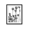 Picture of California Palms _GroupedProduct_Rectangle_Portrait_Photography _GroupedProduct_Rectangle_Portrait_Framed_Matted_