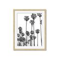 Picture of California Palms _GroupedProduct_Rectangle_Portrait_Photography _GroupedProduct_Rectangle_Portrait_Framed_Matted_