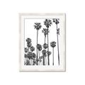 Picture of California Palms _GroupedProduct_Rectangle_Portrait_Photography _GroupedProduct_Rectangle_Portrait_Framed_Matted_